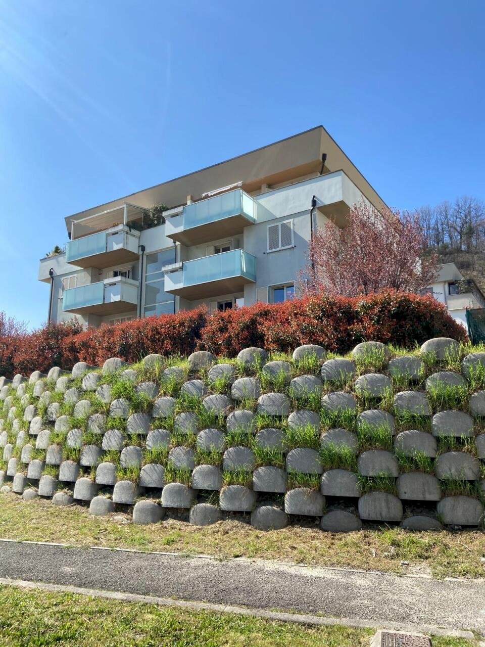 immagine annuncio 3 di 9