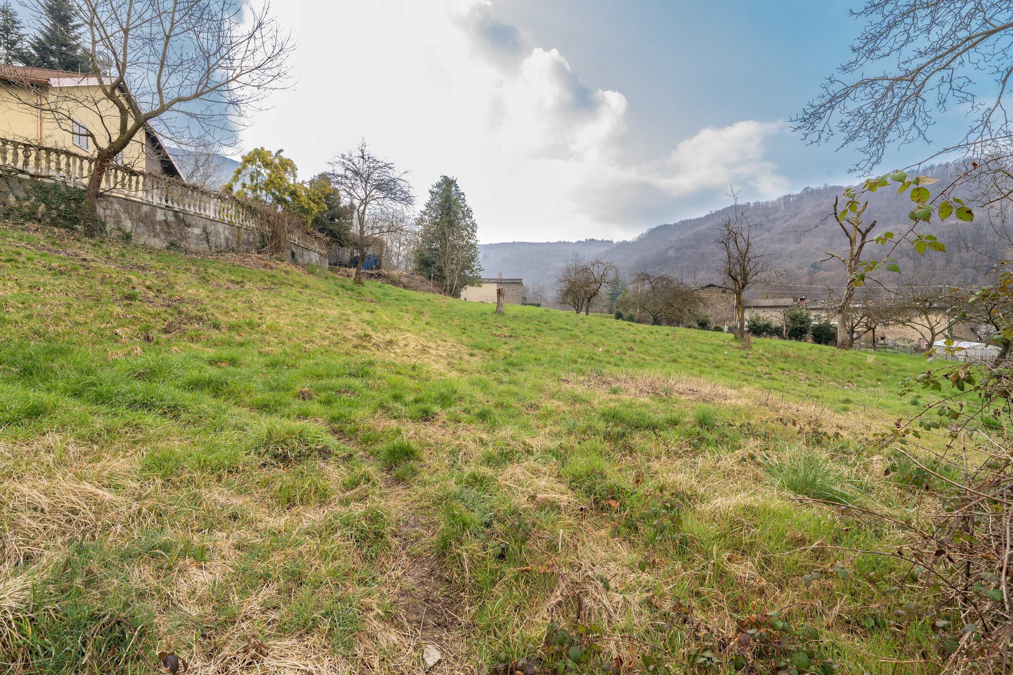 immagine annuncio 8 di 12