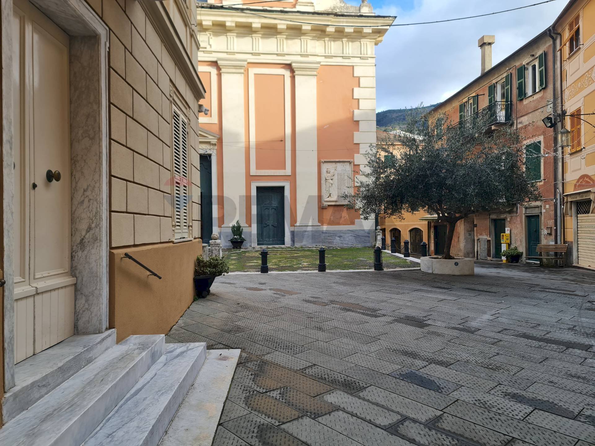 immagine annuncio 1 di 14