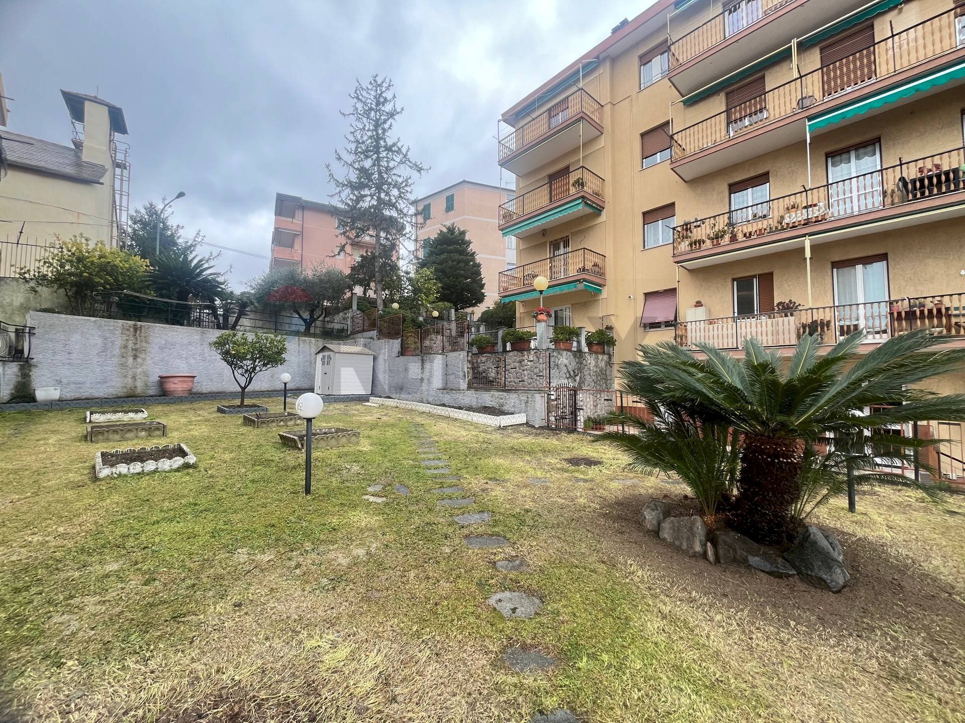 immagine annuncio 0 di 15