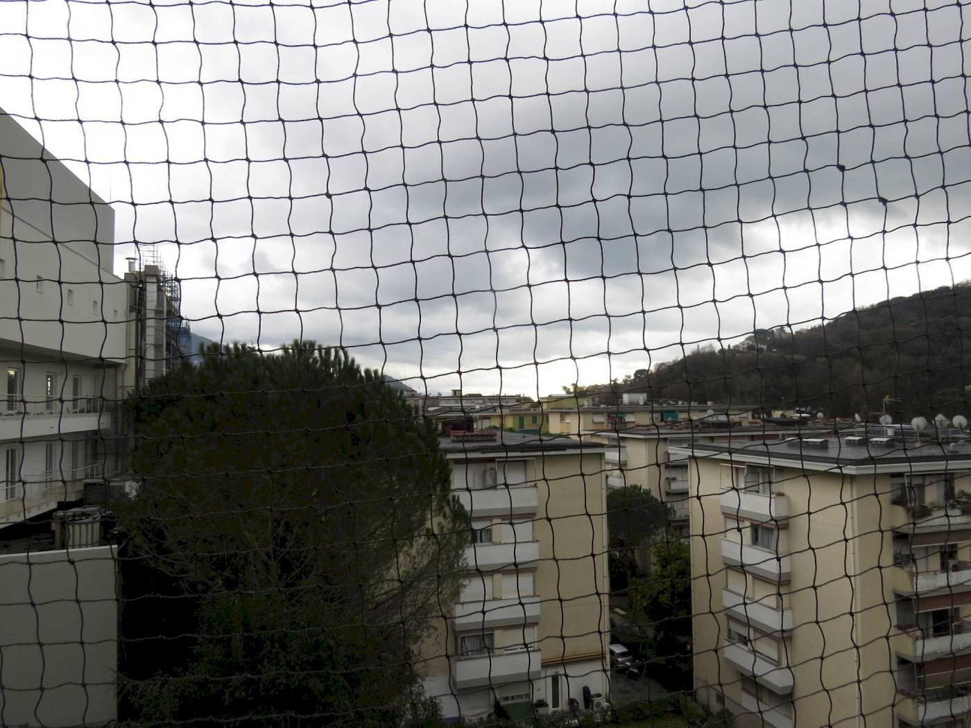 immagine annuncio 1 di 9