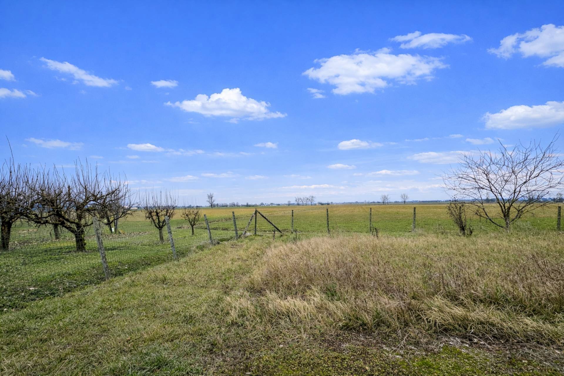 immagine annuncio 7 di 11