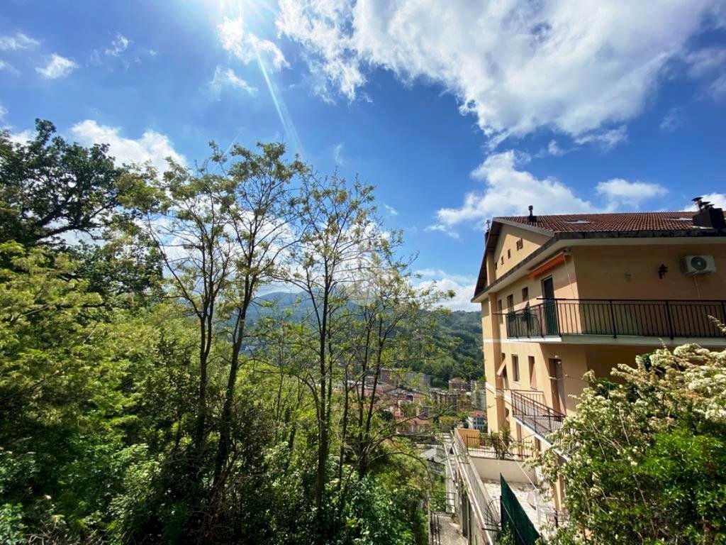 immagine annuncio 2 di 7