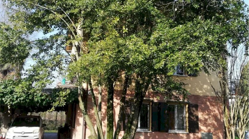 immagine annuncio 4 di 11