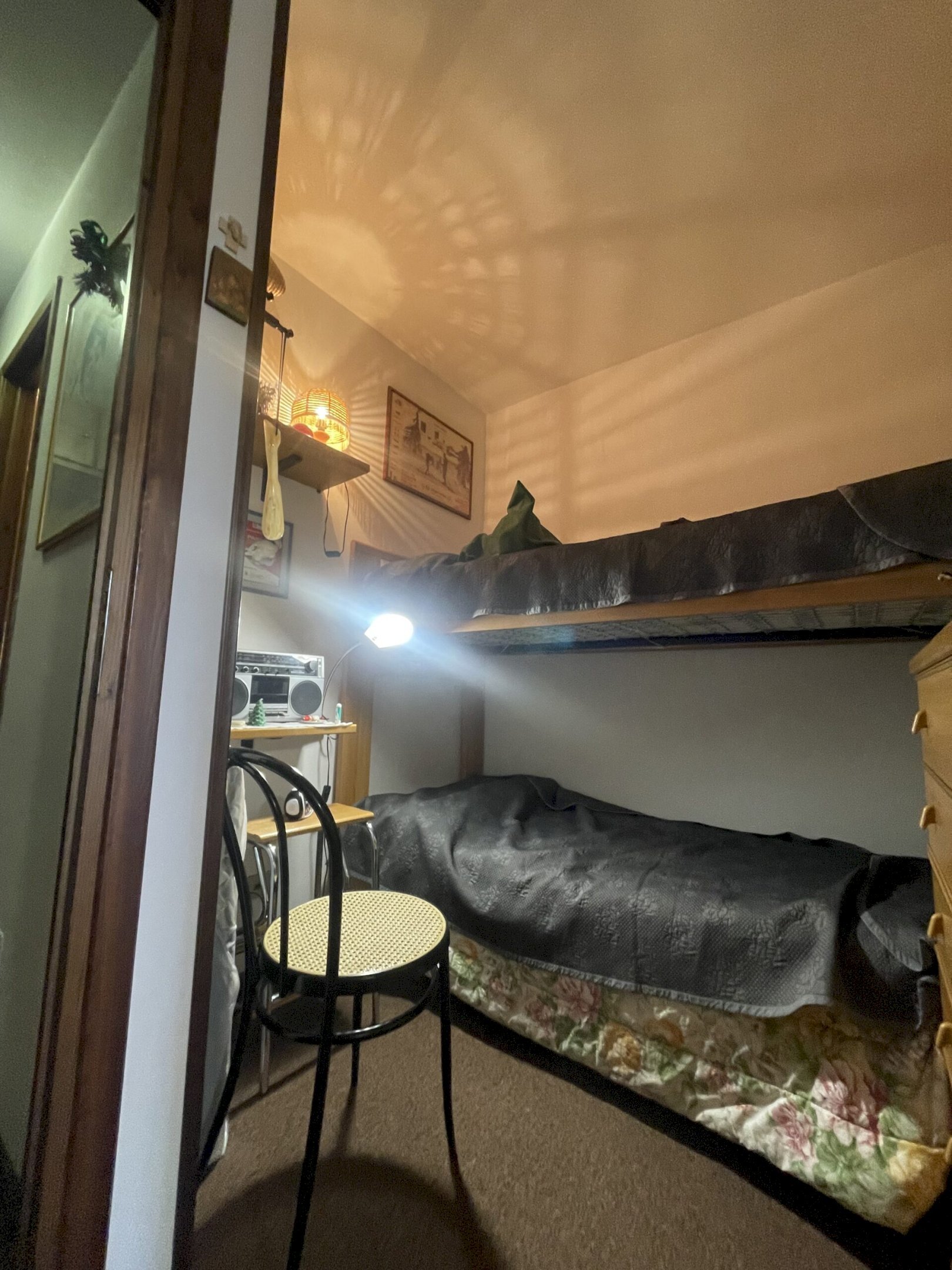 immagine annuncio 6 di 14