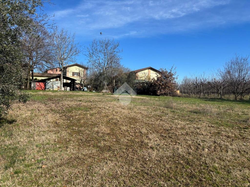 immagine annuncio 6 di 7