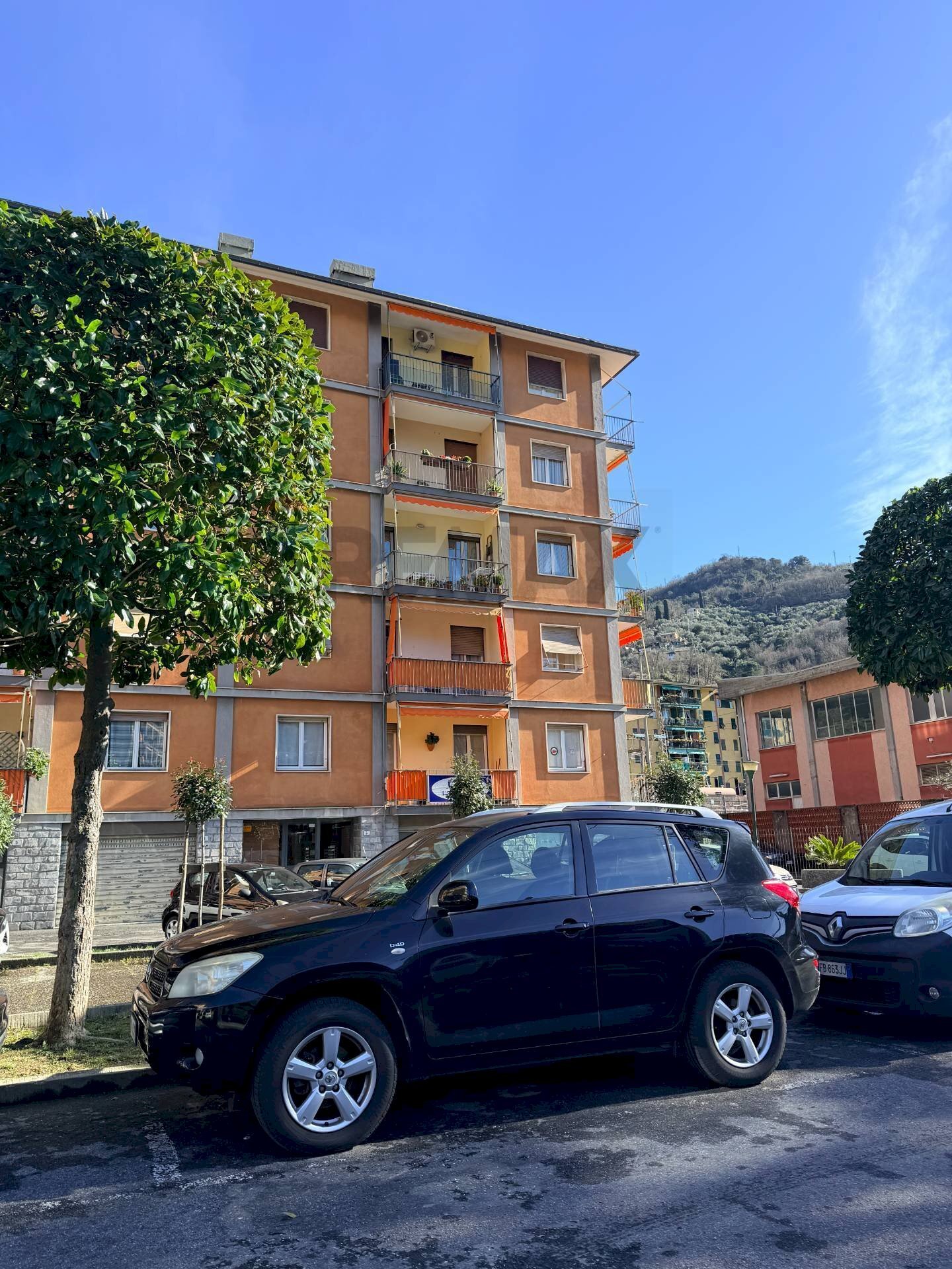 immagine annuncio 2 di 6