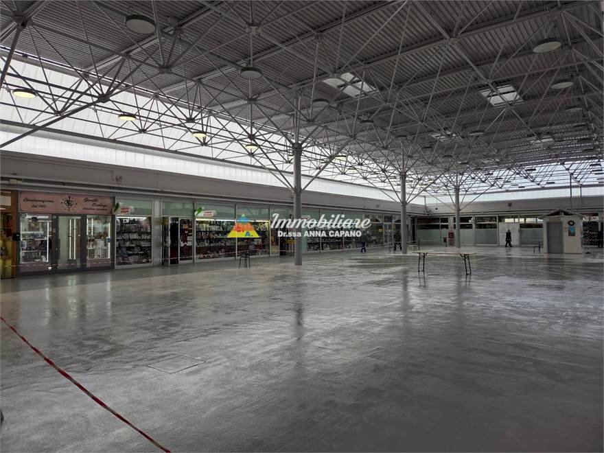 immagine annuncio 5 di 6