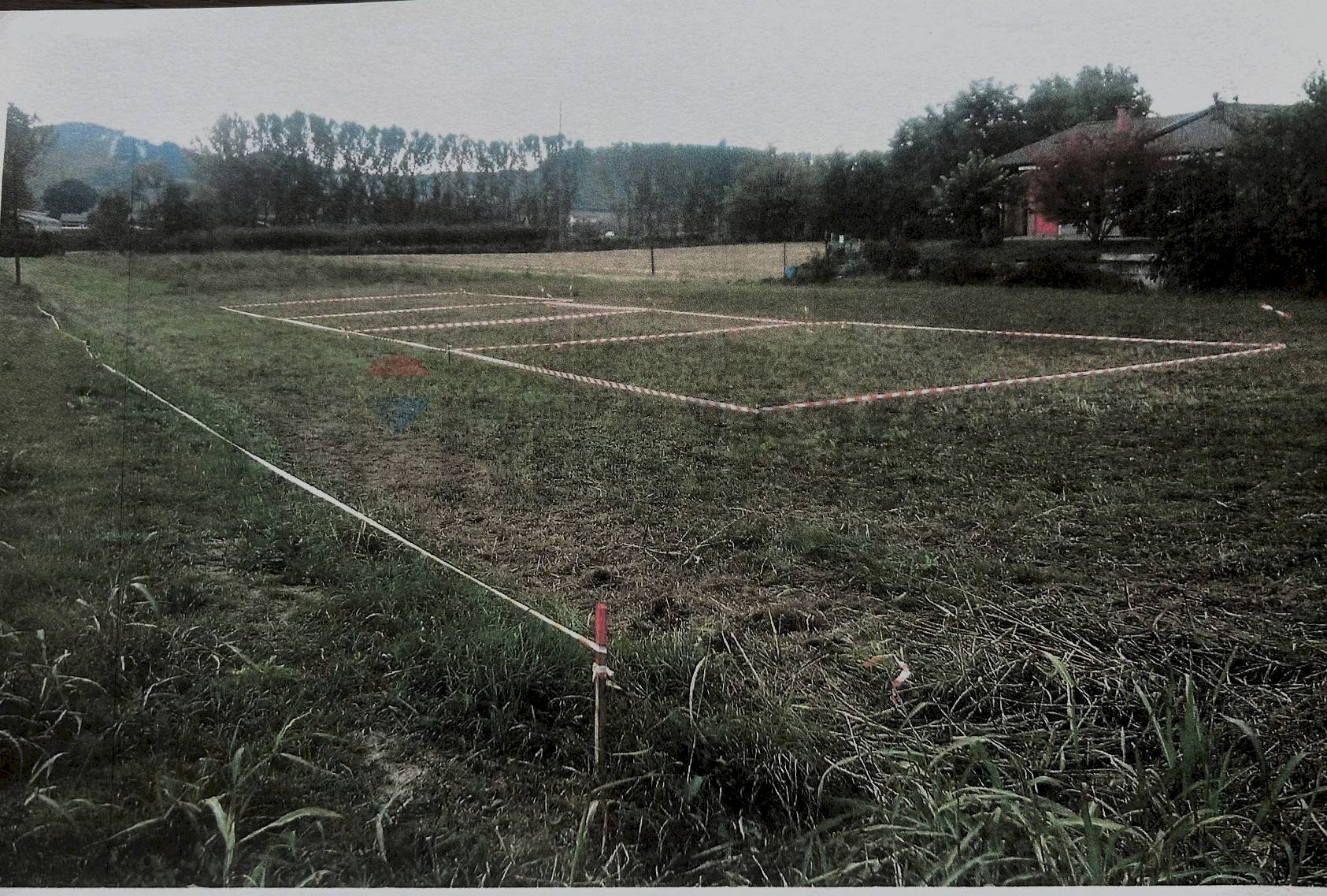 immagine annuncio 3 di 7