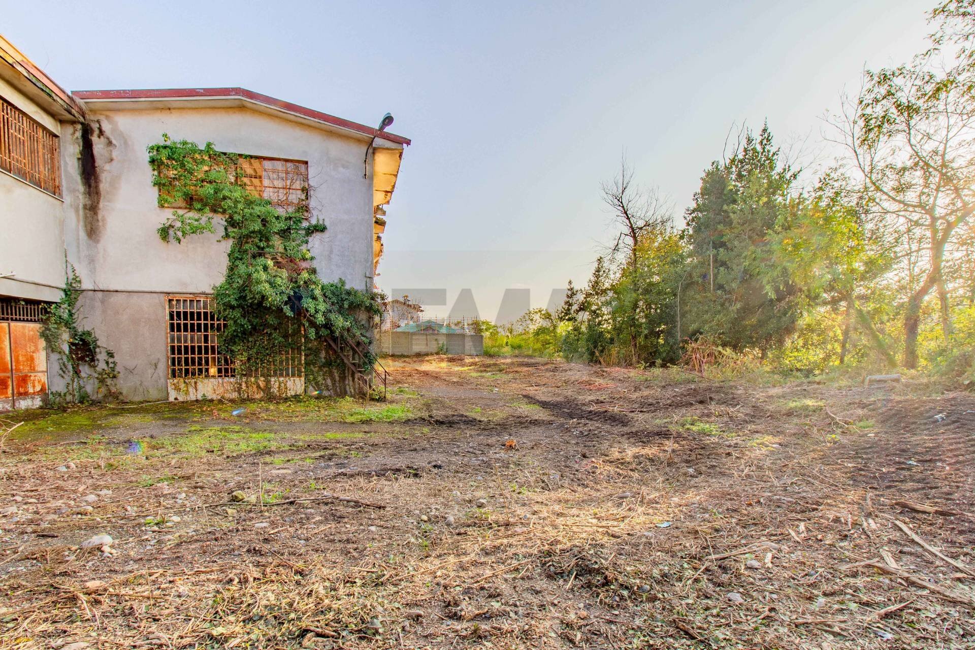 immagine annuncio 4 di 9