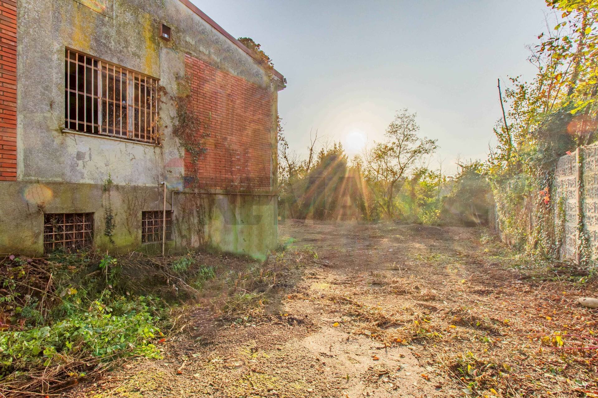 immagine annuncio 5 di 9