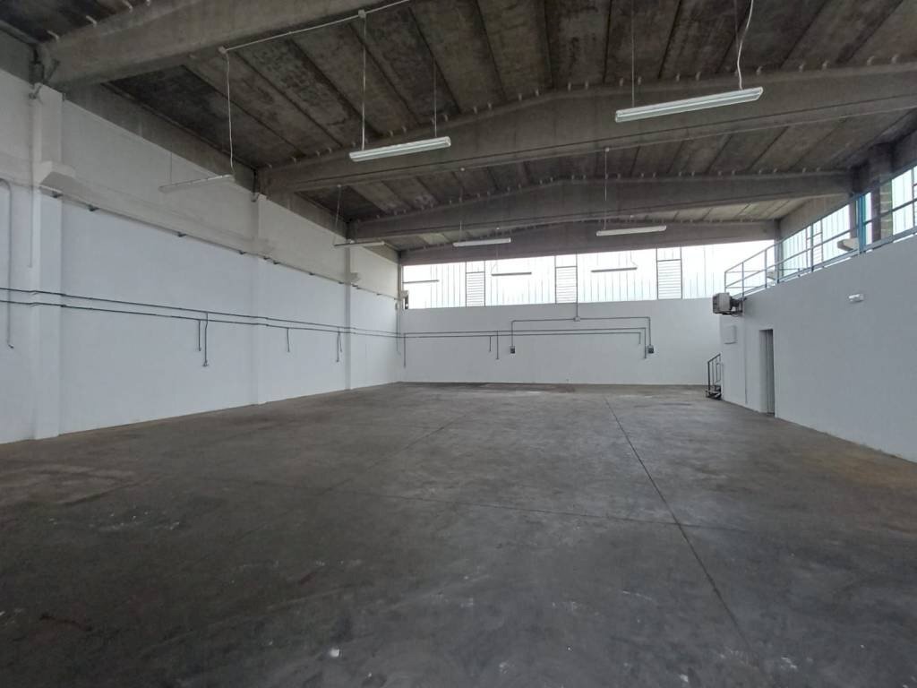 immagine annuncio 9 di 11