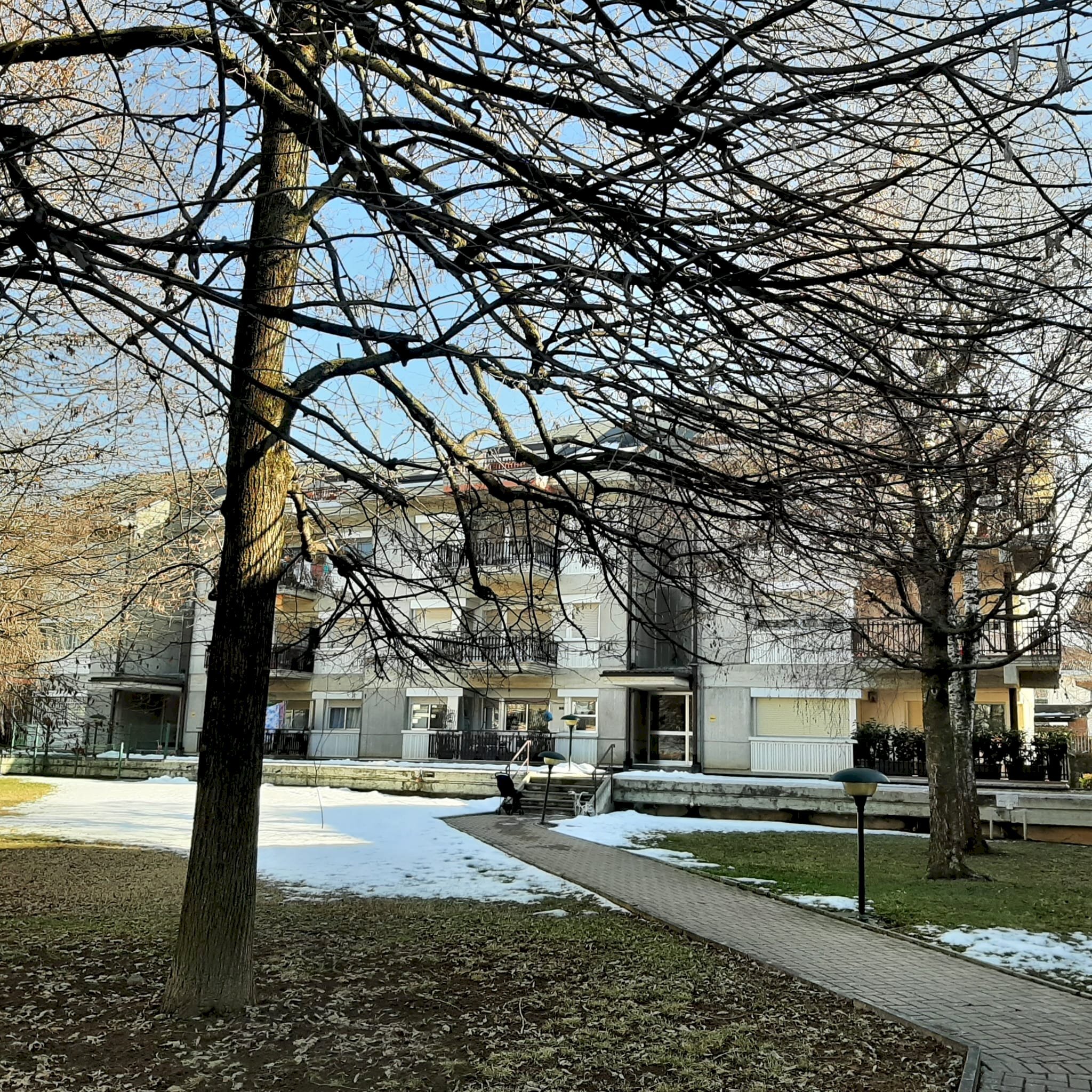 immagine annuncio 9 di 15