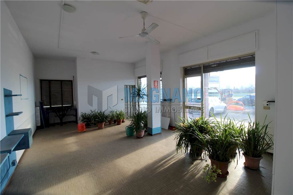 immagine annuncio 4 di 10