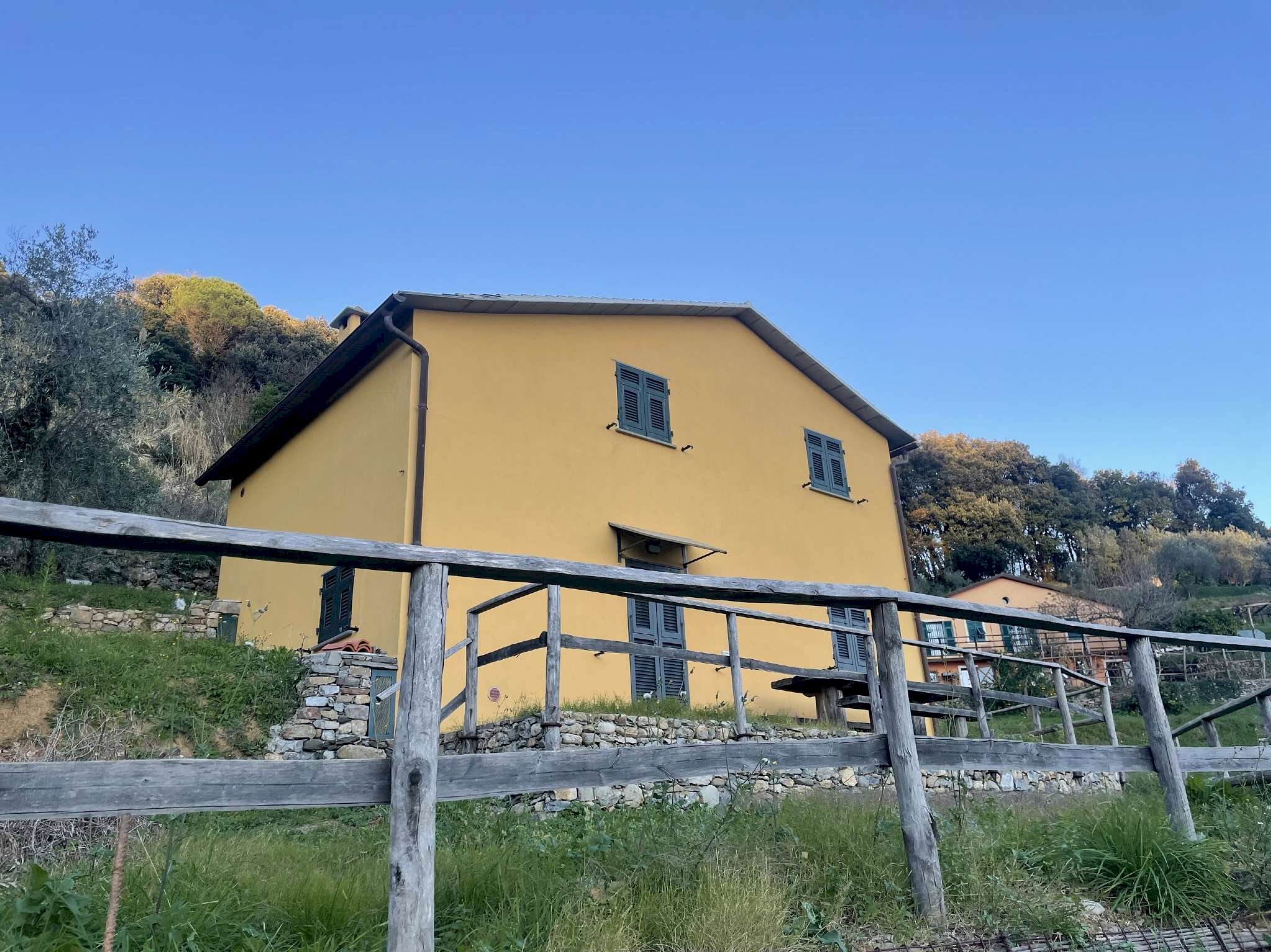 immagine annuncio 11 di 15