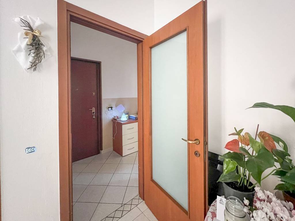 immagine annuncio 3 di 14