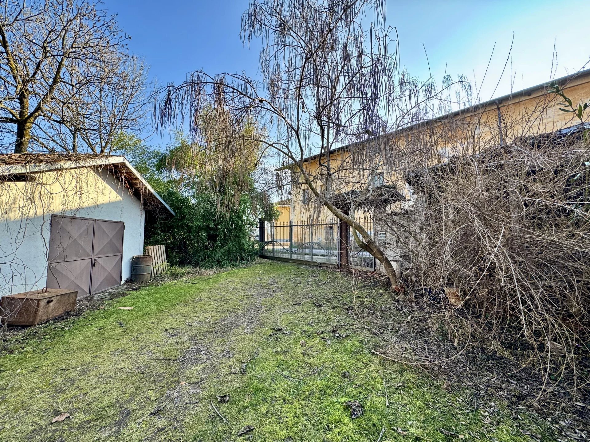 immagine annuncio 5 di 15