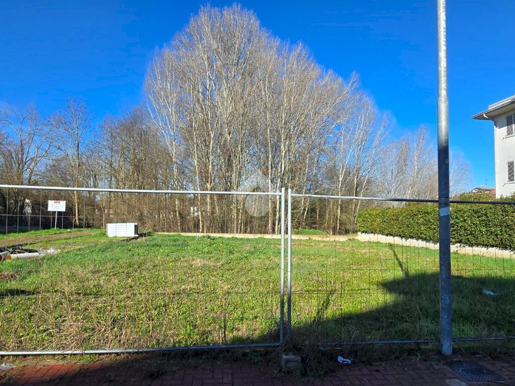 immagine annuncio 2 di 12