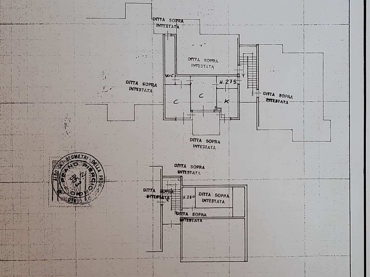 immagine annuncio 12 di 14