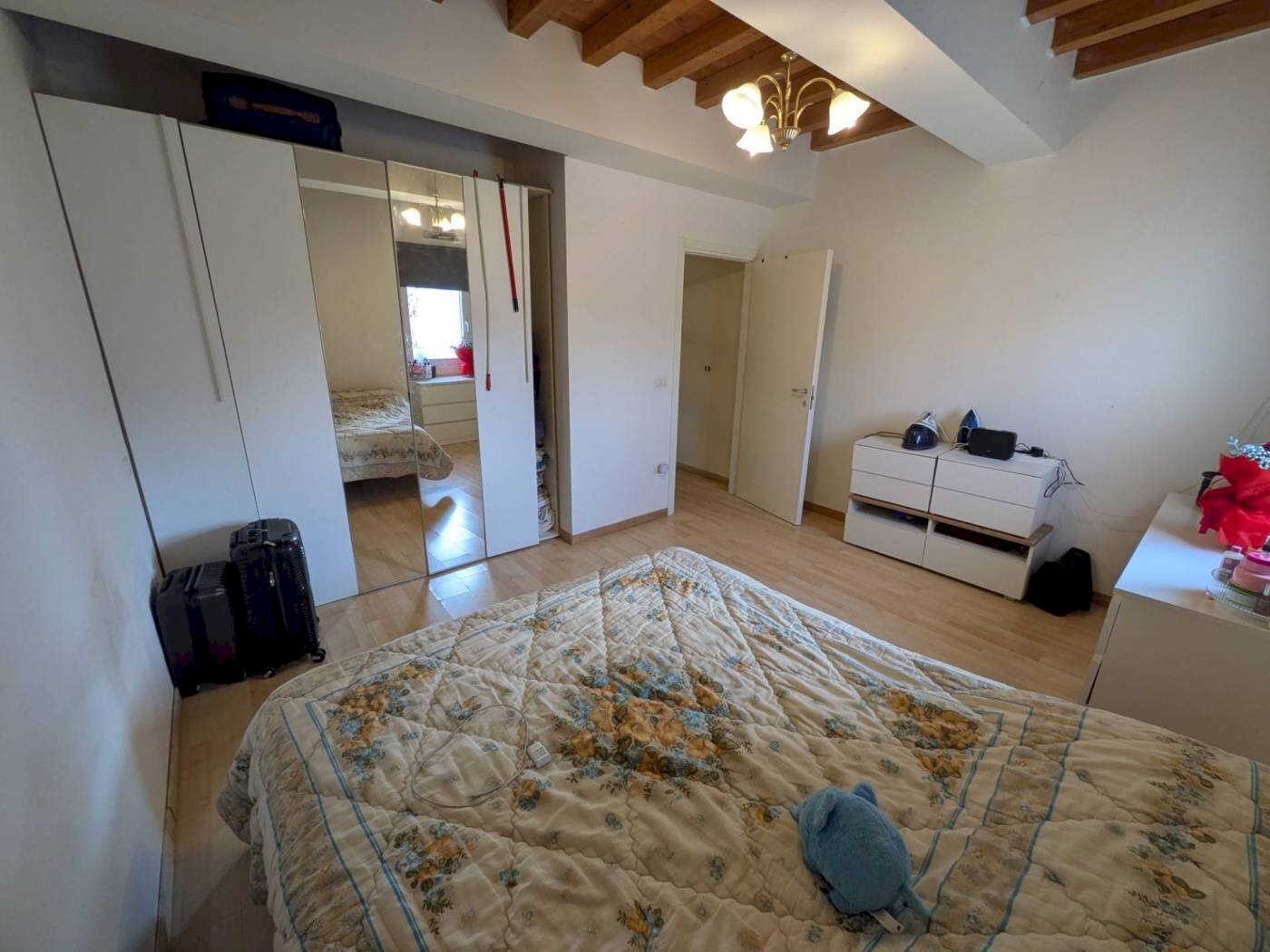 immagine annuncio 8 di 14