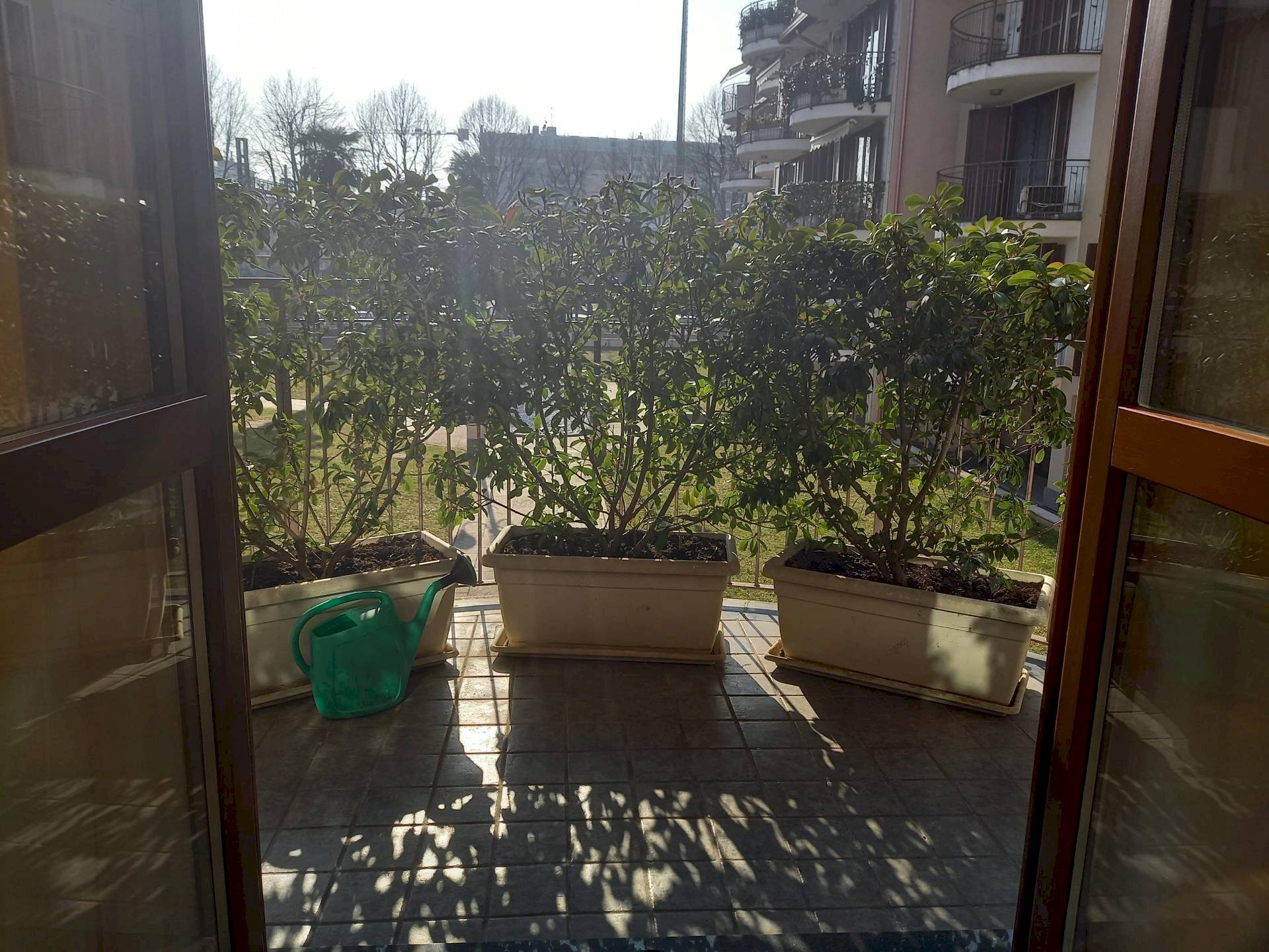 immagine annuncio 3 di 13