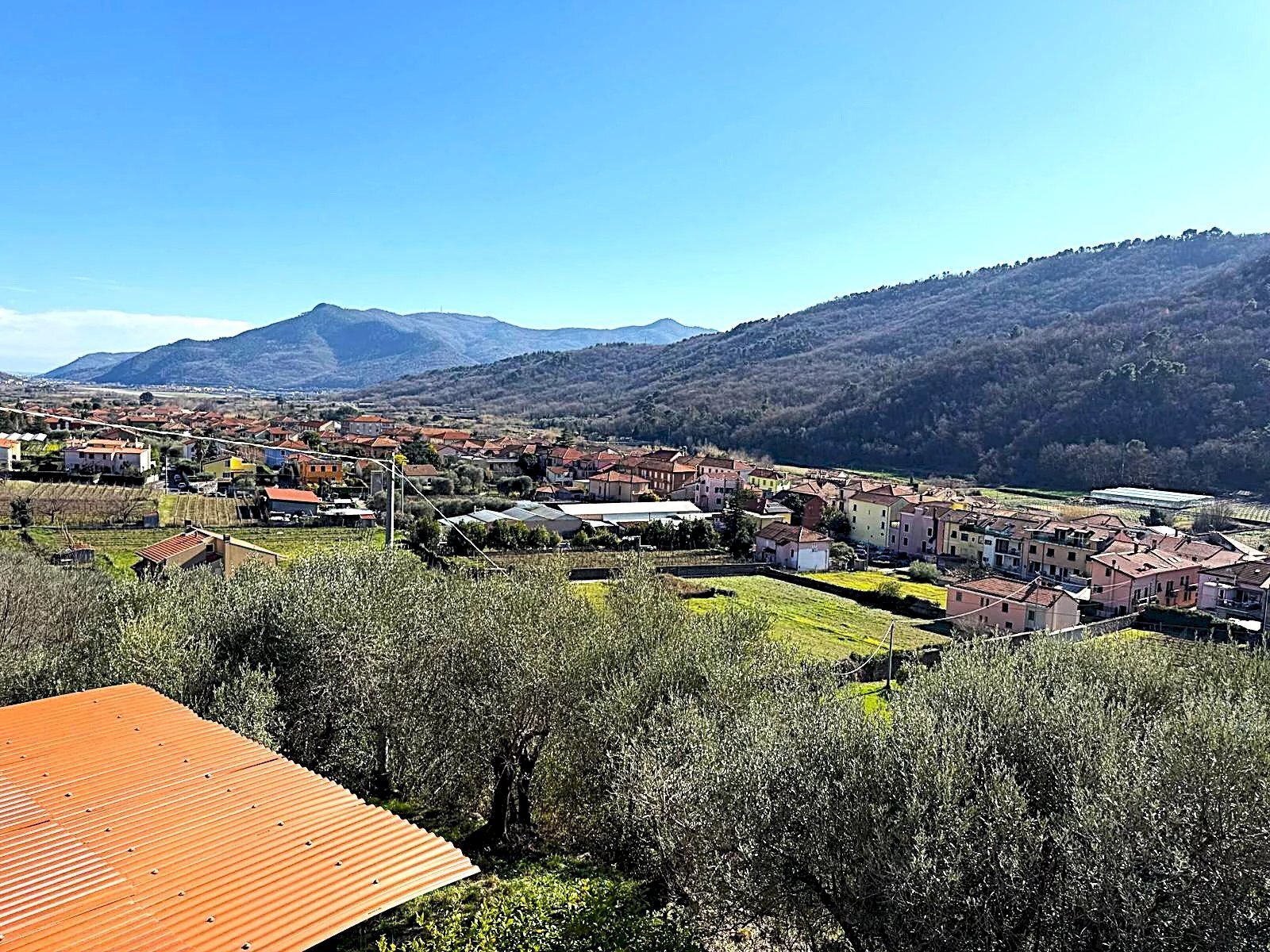 immagine annuncio 12 di 15