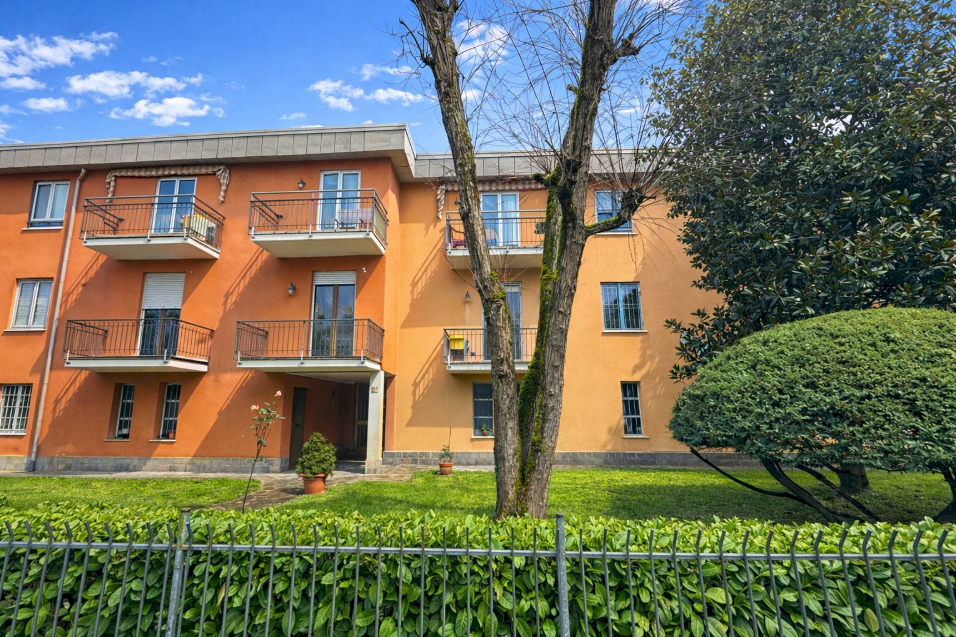 immagine annuncio 3 di 5