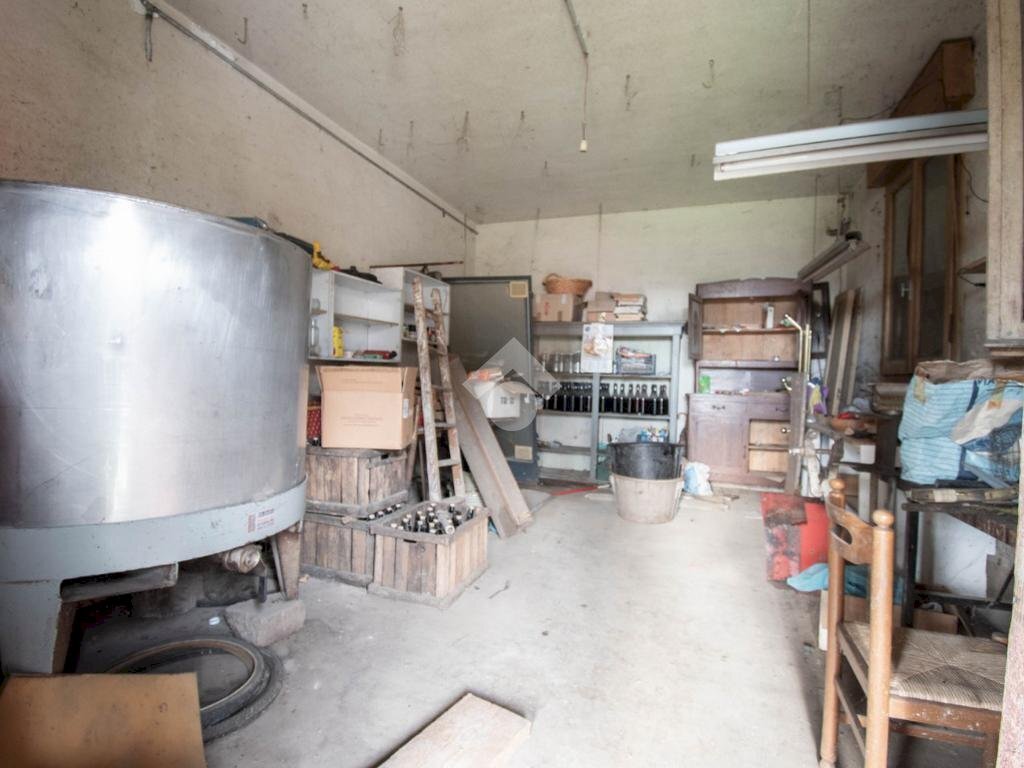 immagine annuncio 9 di 13