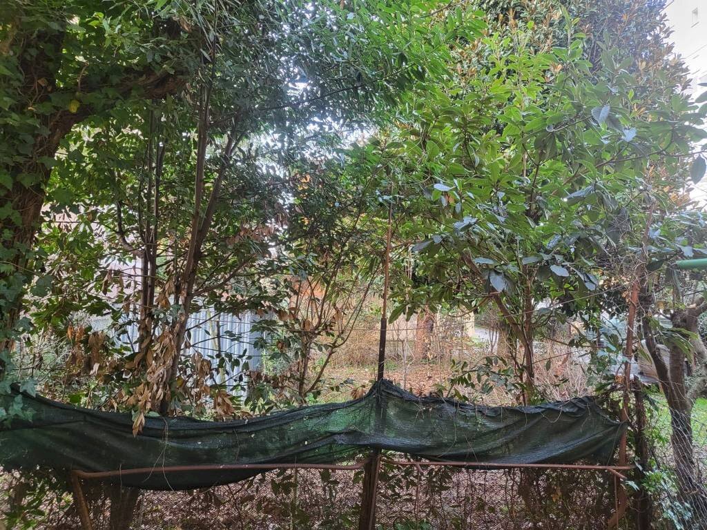 immagine annuncio 6 di 9