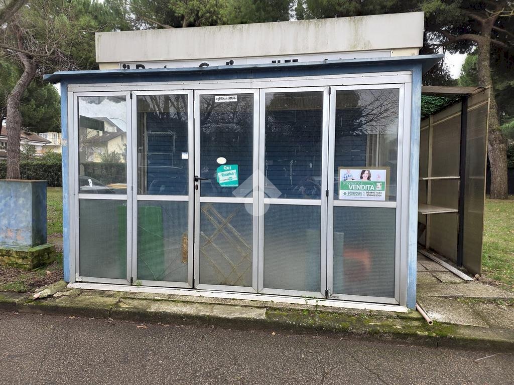 immagine annuncio 6 di 14