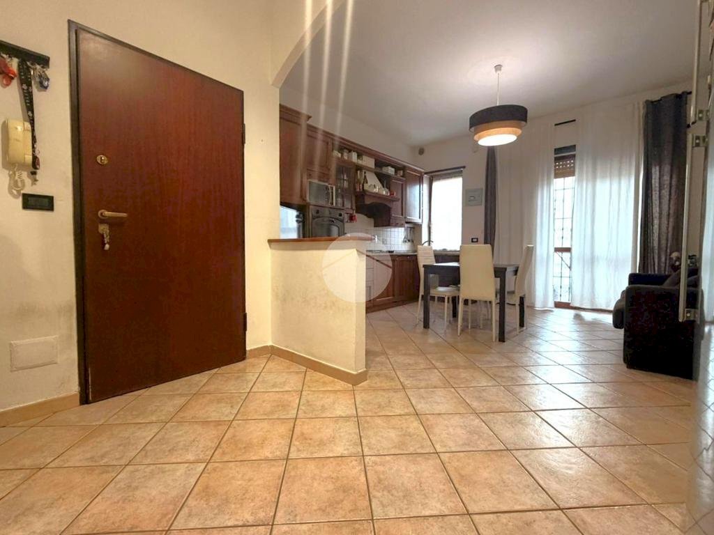 immagine annuncio 1 di 12