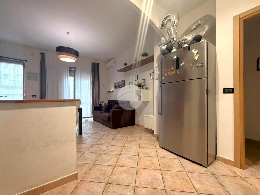 immagine annuncio 5 di 12