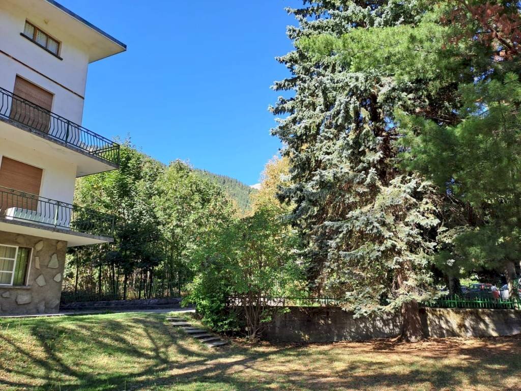 immagine annuncio 13 di 14