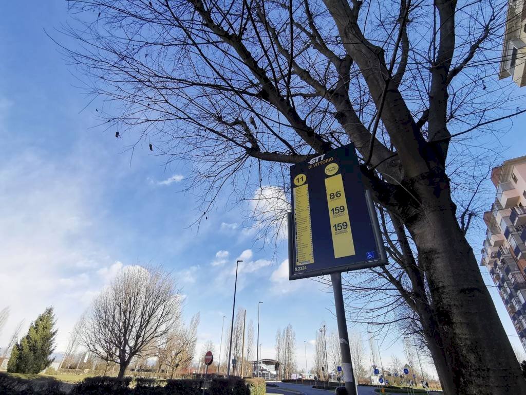 immagine annuncio 4 di 15