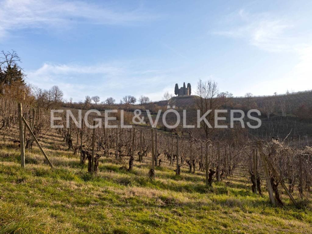 immagine annuncio 7 di 12