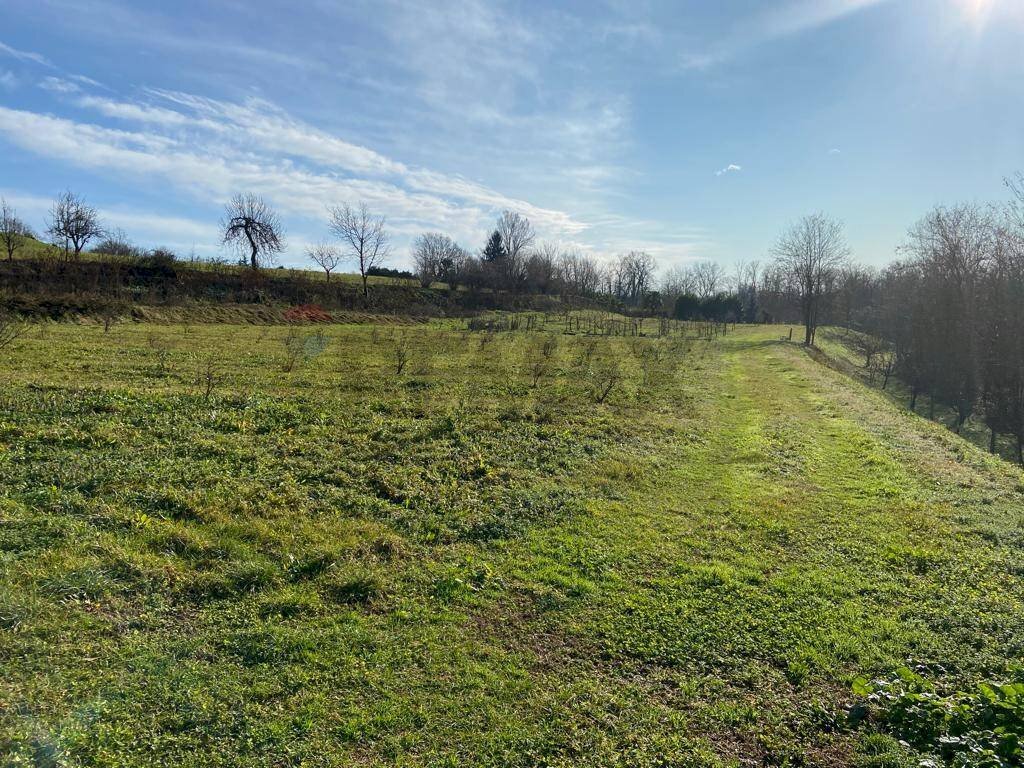 immagine annuncio 12 di 14