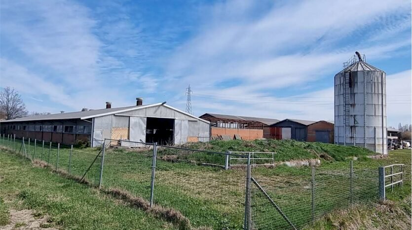 immagine annuncio 2 di 15