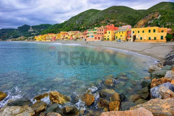 immagine annuncio 4 di 14