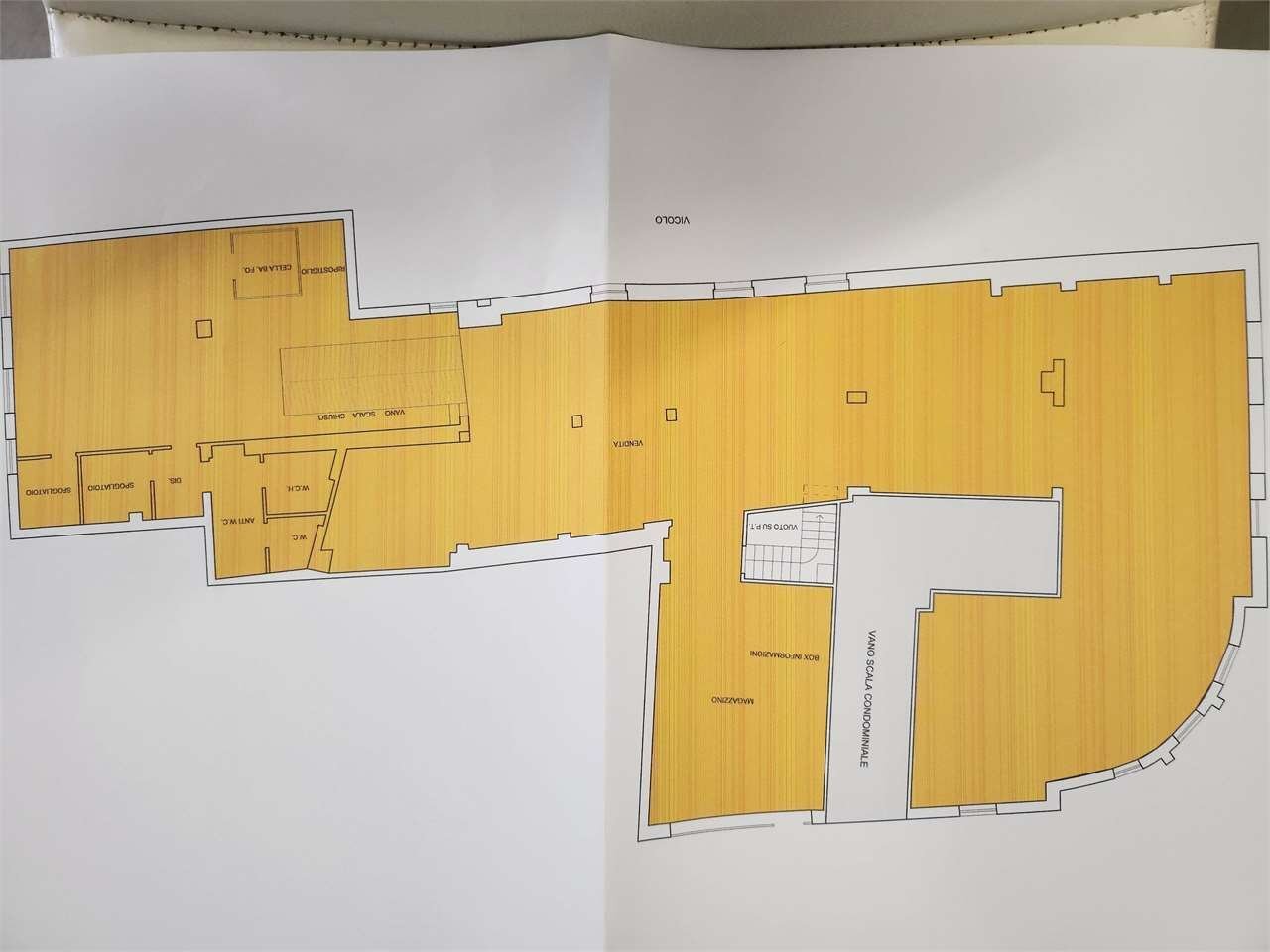 immagine annuncio 6 di 15