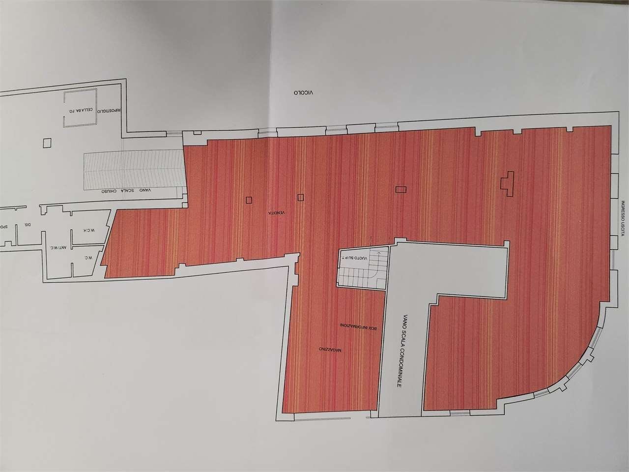 immagine annuncio 8 di 15