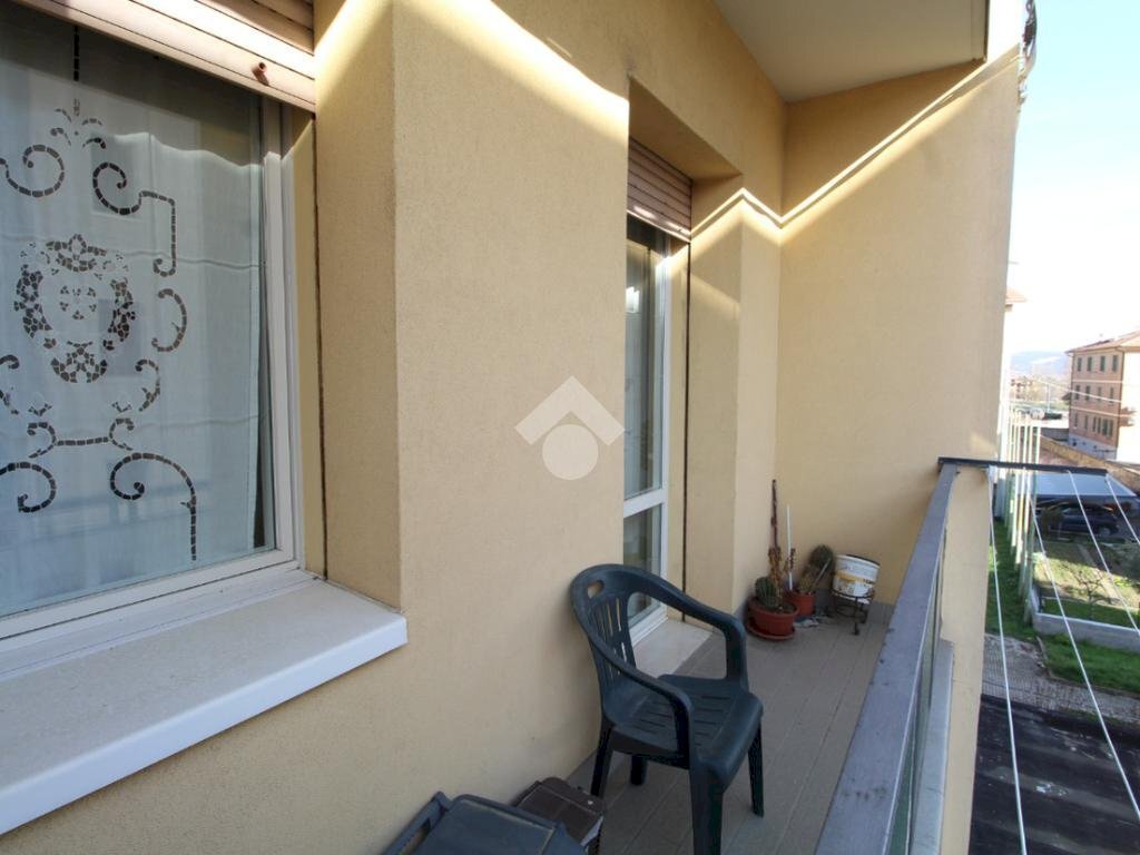 immagine annuncio 4 di 14