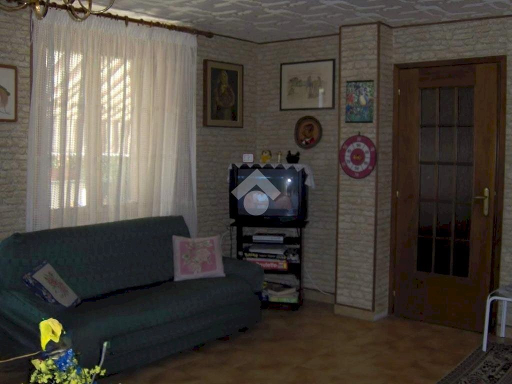 immagine annuncio 9 di 14