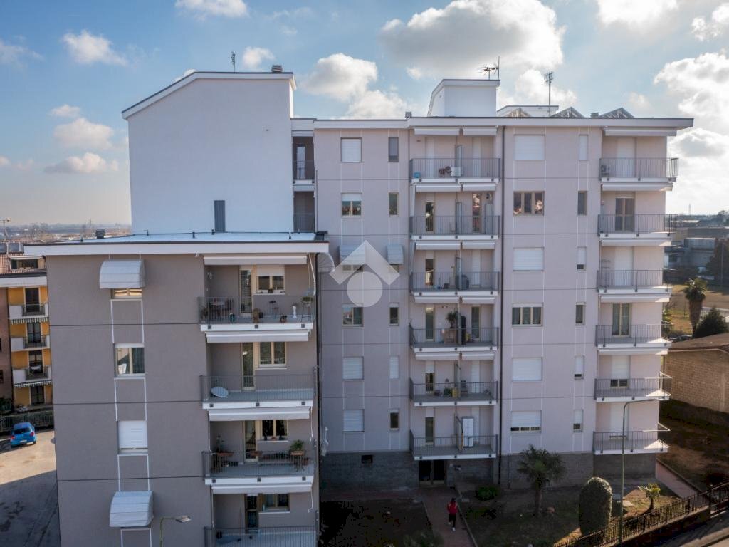 immagine annuncio 3 di 7