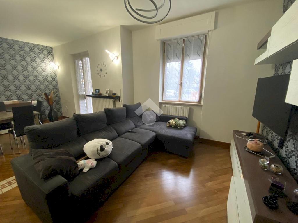 immagine annuncio 6 di 14