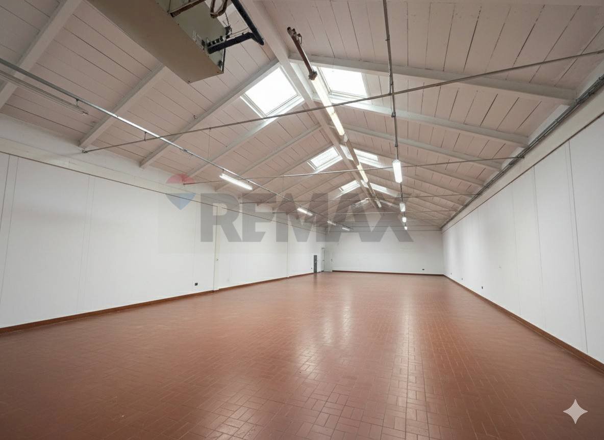 immagine annuncio 5 di 12