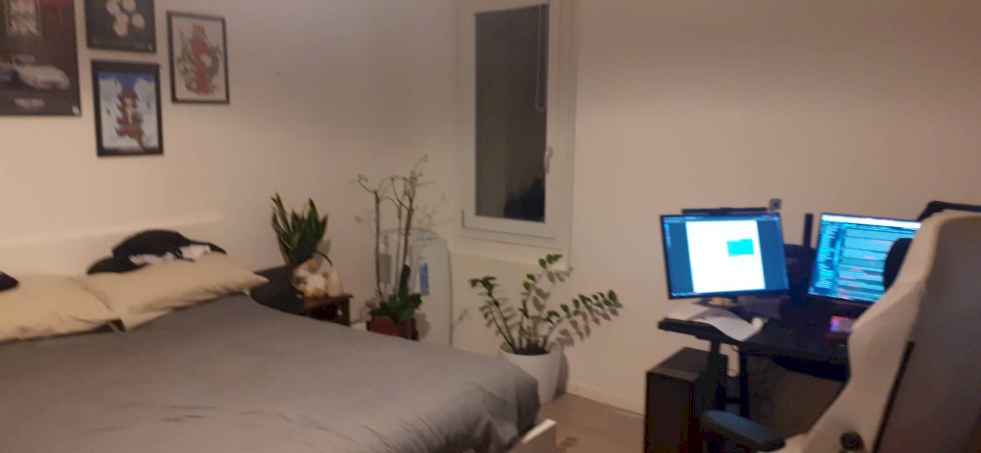 immagine annuncio 3 di 9