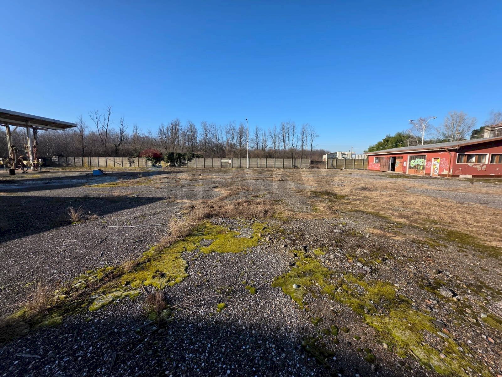 immagine annuncio 5 di 12