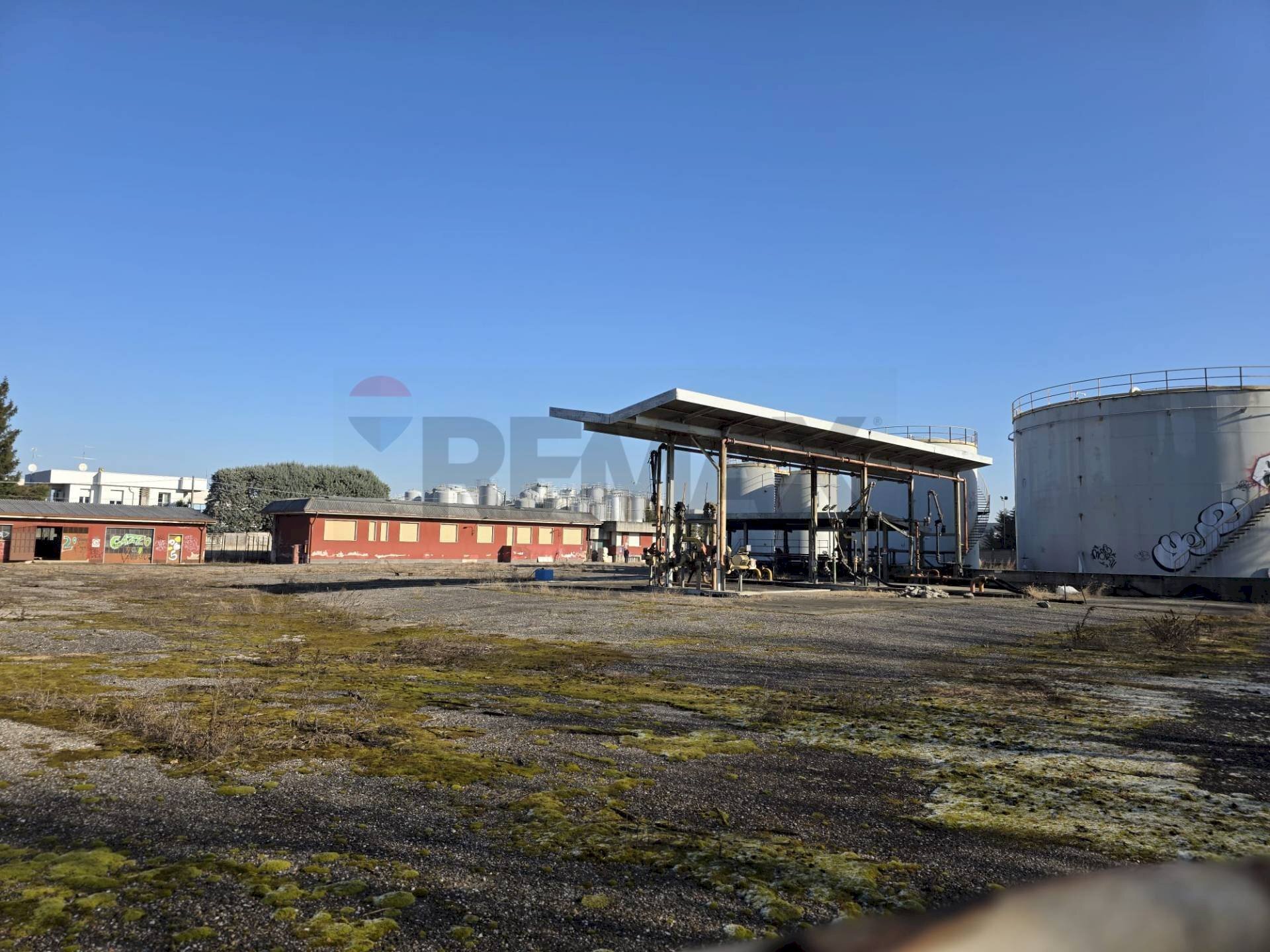 immagine annuncio 6 di 12