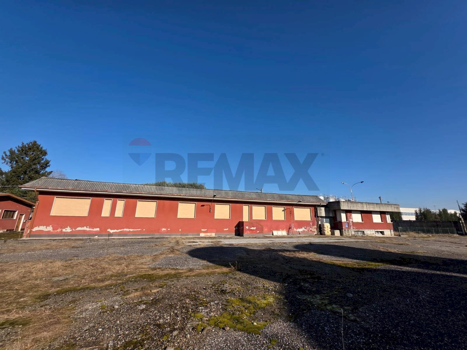 immagine annuncio 9 di 12