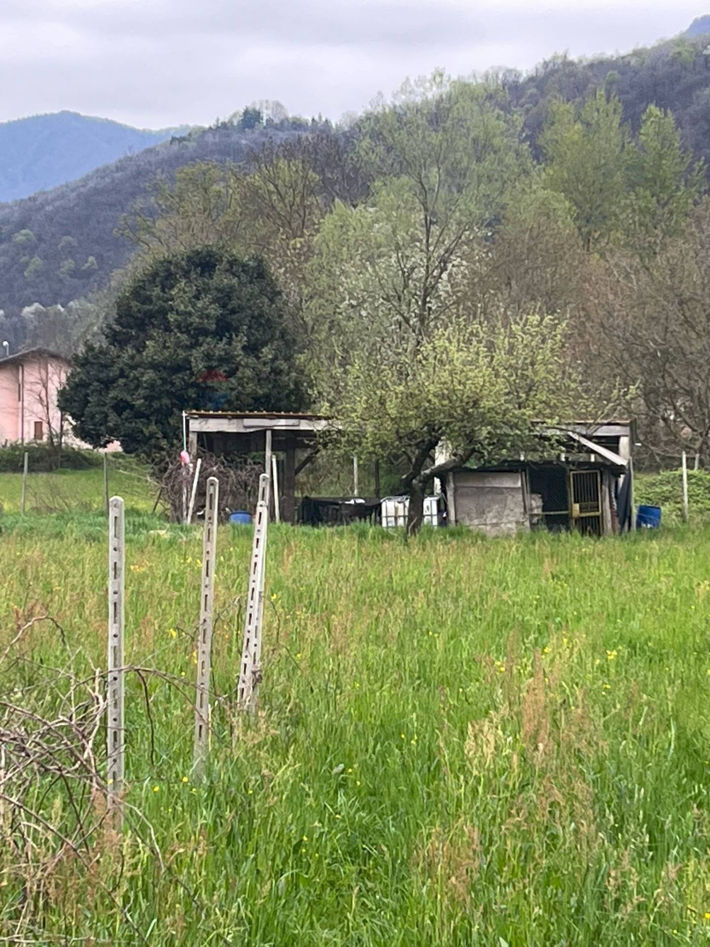 immagine annuncio 1 di 13